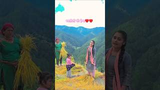 Dhartoli Ki Hima | धारतोली की हेमा | Parhlad Mehra #New #Song #Kumaoni @PahadiChu02