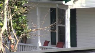 Catoosa County Woman Arrested for Cruelty to C