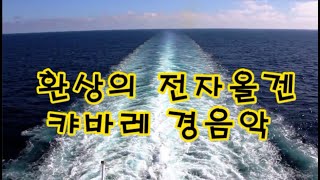 환상의 전자올겐 캬바레 경음악 #경음악 #트롯 #전자올겐