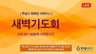 2025년 1월 9일(목) 화평교회 새벽기도회(오전 5시 30분) Live