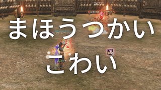 【LineageⅡ】まほうつかい こわい【オリンピアード】【Classic】【アインハザード鯖】