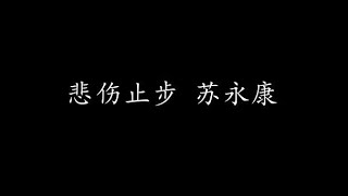 悲伤止步 苏永康 (歌词版)