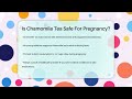 is chamomile tea safe for pregnancy women s health and harmony