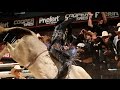 MONSTER RIDE: Stormy Wing wins with 90.75 Points (PBR)