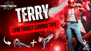 Street Fighter 6 Terry Bogard Low Target Combo Tips and Secrets