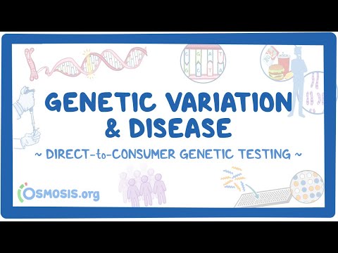 What are the causes of genetic variation?