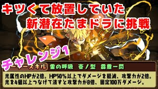 新潜在たまドラ＜チャレンジ1＞【パズドラ】5分制限