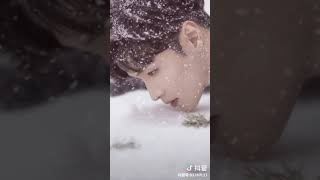 [抖音tiktok]失去才懂