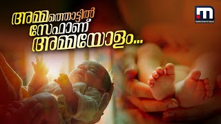 അമ്മത്തൊട്ടിലിലെ പൊന്നോമനകൾ അനാഥരല്ല; അവർക്ക് അമ്മമാരുണ്ട് | Ammathottil | Child Welfare