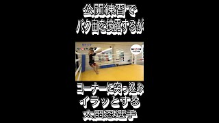 公開練習でバク宙を披露するが勢い余ってコーナーに突っ込みイラッとする太田忍選手