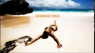 Michel Telo,Rihanna,Avicii,Pitbull - Summer Mix 2014 (Rony Z Electro Remix)
