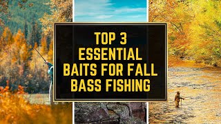 TOP 3 ESSENTIAL BAITS FOR FALL BASS FISHING