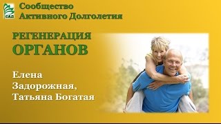 САД Регенерация органов Елена Задорожная 22 02 2016