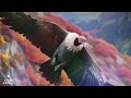 condor spirit animal symbolism u0026 meaning explained