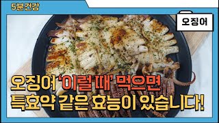 오징어의 놀라운 효능과 주의점 (고르는법, 손질법, 보관법 포함)