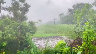 প্রকৃতির বিরূপ আচরণ