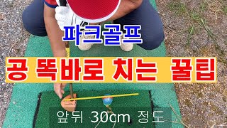 파크골프 공 똑바로 치는 꿀팁. 퍼팅 티샷 어프로치샷 똑바로 보내기 파크골프 치는법.パークゴルフ