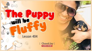 Lesson 404 🐶 The Puppy will be Fluffy @ChandiJay