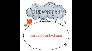 carbonic anhydrase M. Sc 3rd sem