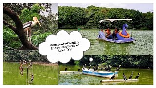 Yediyur Lake | Peddle Boating | Bird Watching | Jayanagar Bengaluru | First vlog