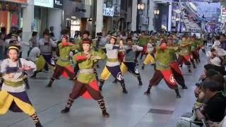 高知よさこい祭り2016　本祭一日目　お喜楽屋　帯屋町演舞