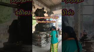 மயிலாடுதுறை திருபுங்கூர் சிவலோகநாதர் திருக்கோயில். #nayanmargal #mailaduthurai #shivantemple #சிவன்