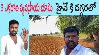 3 ఎకరాల వ్యవసాయ భూమి.. Village కి దగ్గరలో. #srinivasagriculturelands