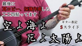 空よ海よ花よ太陽よ　三線　cover