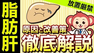 【放置厳禁！】脂肪肝の「原因」と「改善策」を現役医師監修で解説