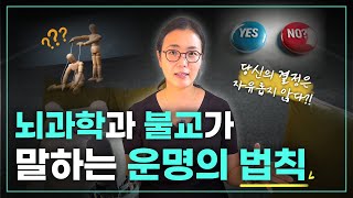 뇌과학과 자유의지 💫당신의 결정은 이미 정해져 있다?