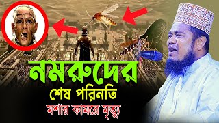 নমরুদের শেষ পরিনতি লেংড়া মশার কামড়ে মৃত্যু। qari ruhul amin siddiqui | রুহুল আমিন সিদ্দিকীর ওয়াজ।