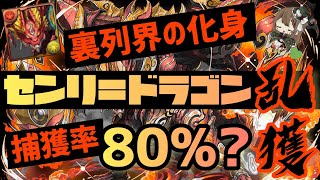 【パズドラ】裏列界の化身！センリ＝ドラゴン乱獲サフィーラ×アエリル周回編成！