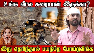 வீட்டில் கரையான் தொல்லைக்கு முடிவு இனி பிரச்சனை இல்லை| Termite Control | karaiyan vantha palan