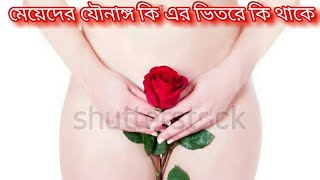 মেয়েদের যৌনাঙ্গ কি | এর ভিতরে কি থাকে ৷৷ private part of women's | tips and tricks sbn