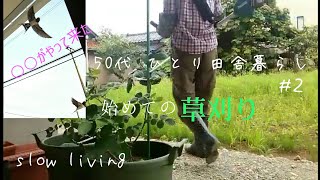 50代 ひとり 田舎暮らし/初めての草刈り/ツバメがやって来た