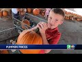 how this modesto pumpkin patch is able to keep the same prices for 15 years