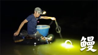 夏日野钓，鳗鱼上钩，极度丝滑