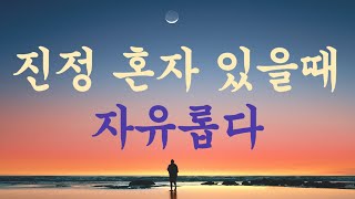 쇼펜하우어의 가르침ㅣ진정 혼자 있을때 자유롭다ㅣ자기 자신이되다 #서양철학 #인생명언 #삶의지혜 #쇼펜하우어