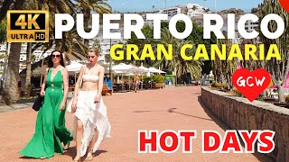 PUERTO RICO Gran Canaria April 17, 2024 🔴Punta del Rey Hotel to the Beach