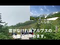 【秋だより】早秋の信州　栂池自然園で秋探ししてみた。