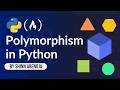 Polymorphism - Python Object Oriented Programming (OOP) | Course: CSC 104