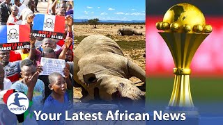 Anti-French Sentiment Continue to Rise in Africa, 24 Rhinos Killed in S.Africa, African Cup Still On