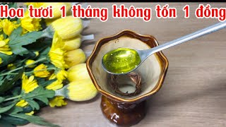 CÁCH CẮM HOA LÂU TÀN NƯỚC KHÔNG HÔI RẤT DỄ