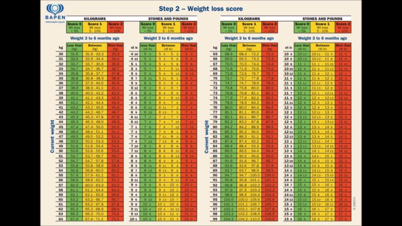 Must Score Nutrition - Home Alqu