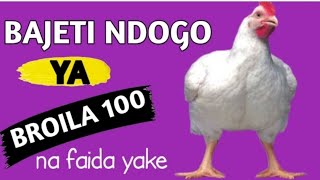 BAJETI NDOGO YA BROILA 100 NA FAIDA YAKE. #chicken #ufugaji #kingofarm