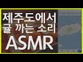 제주도에서 귤까는 소리 백색소음 asmr 시트러스한 소리들으며 공부 집중하기