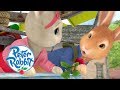 Peter Rabbit - Escaping the Garden in the Flying Machine | Cartoons for Kids