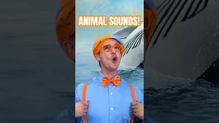 Learn to Make ANIMAL Sounds🐷🐓🐶! Oink! Bark! Meow! #blippi #shorts #animals