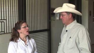 Dennis Sigler - Horse Diseases - Horse Travel Restrictions