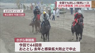 海岸の砂浜で３９頭が疾走　３年ぶりに草競馬大会　静岡・牧之原市